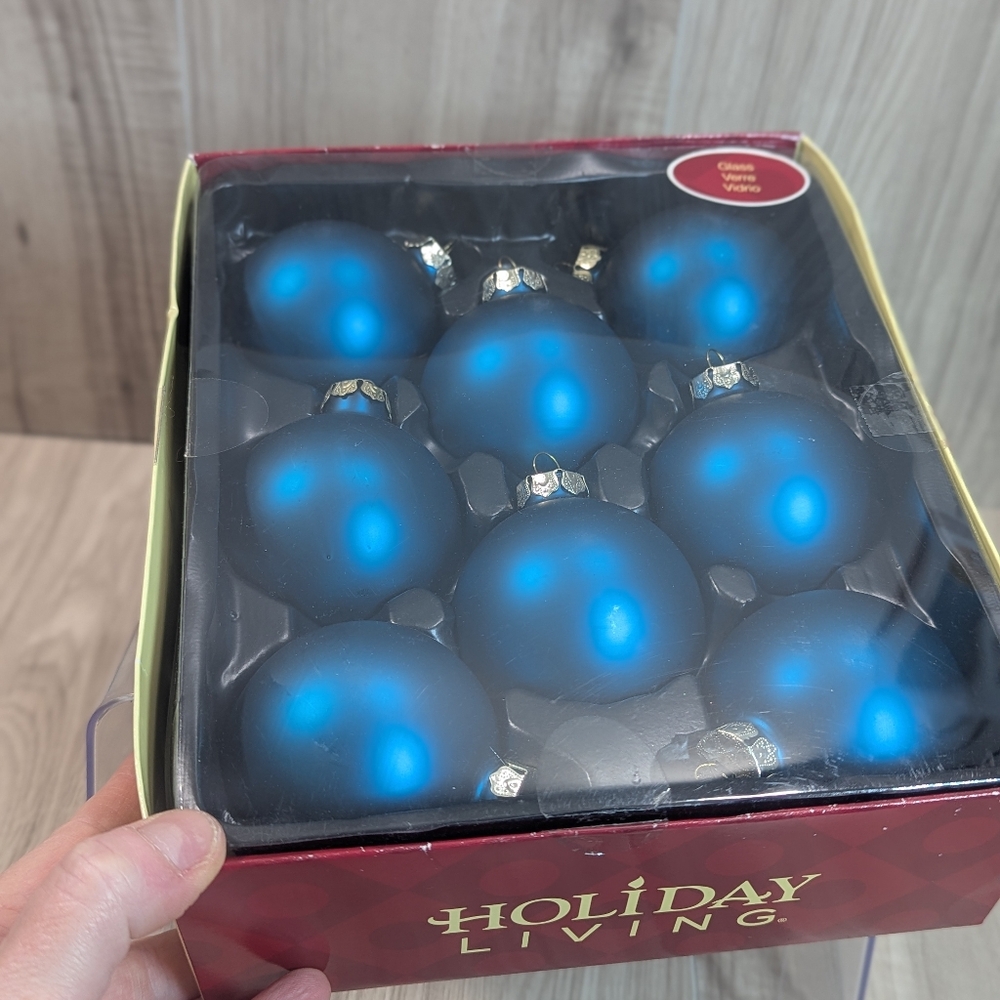 HOLIDAY LIVING Glass Ornaments (8) Frosted Teal Blue Christmas Tree Holiday